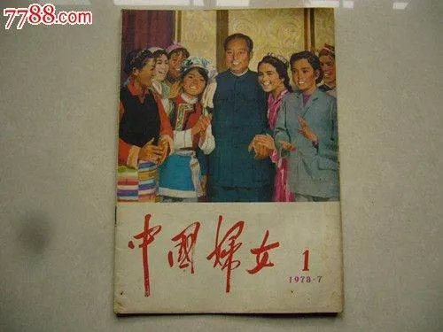 中国1978的介绍