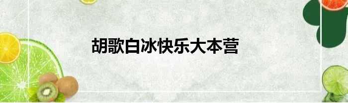 胡歌白冰快乐大本营