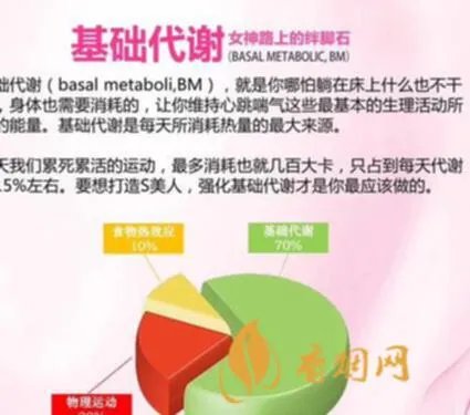 玲珑代理多少钱？这里给你答案！