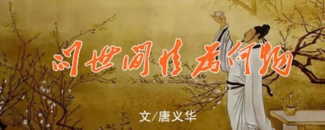 问世间情为何物写的是什么 全文是什么意思