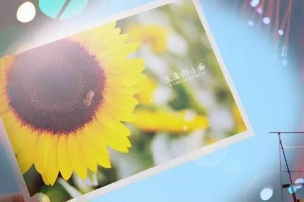 妖孽也成双番外小洞房阅读 妖孽也成双出版书番外阅读