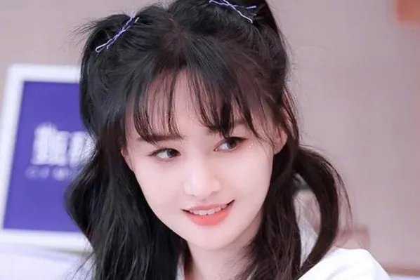 新华社评郑爽事件，主要表达了什么观点？