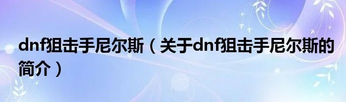 dnf狙击手尼尔斯（关于dnf狙击手尼尔斯的简介）