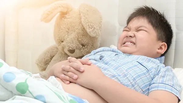 谷氨酰胺的作用