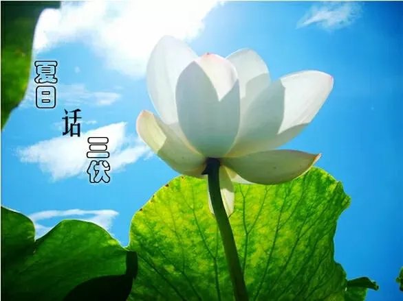 7月11号入伏，2021年三伏天时间怎么安排？几伏天气最热？
