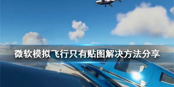 《微软模拟飞行2020》只有贴图怎么办 只有贴图解决方法分享