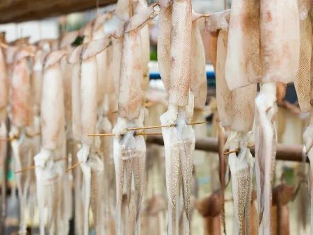 长春发现1份进口鱿鱼须外包装样本新冠病毒核酸阳性