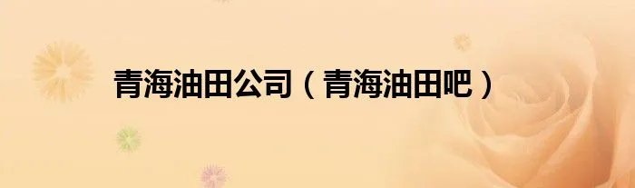 青海油田公司（青海油田吧）
