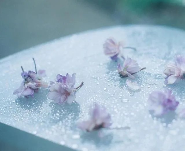 爱情公寓513集为什么玩不了？