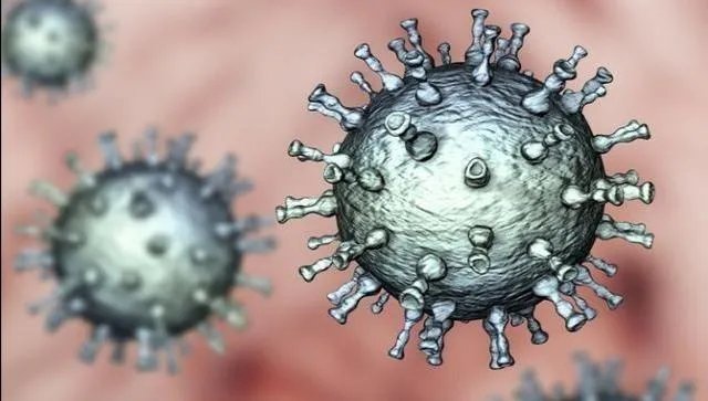 北京新发地发现新冠病毒有多长时间了？