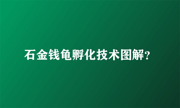 石金钱龟孵化技术图解？
