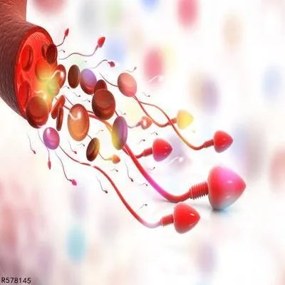 精液不液化的原因有哪些 了解精液不液化的这几个病因