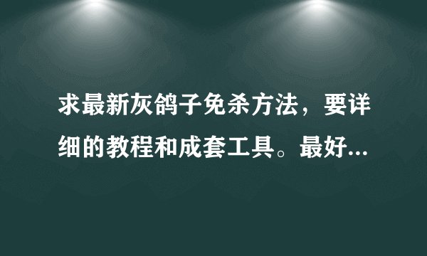 求最新灰鸽子免杀方法，要详细的教程和成套工具。最好是有能过360的壳。