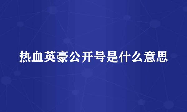 热血英豪公开号是什么意思