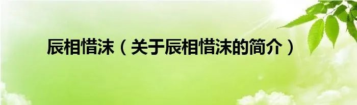 辰相惜沫（关于辰相惜沫的简介）