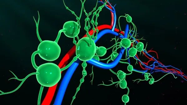 新冠病毒和流感病毒有什么区别？如何预防新冠病毒？