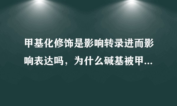 甲基化修饰是影响转录进而影响表达吗，为什么碱基被甲基化酶甲基化修饰后限制酶识别不了了？