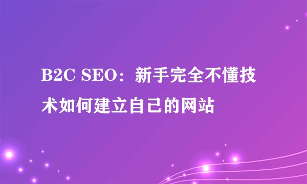 B2C SEO：新手完全不懂技术如何建立自己的网站