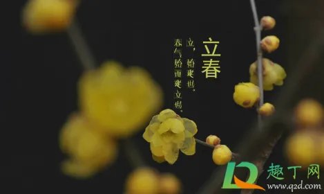 2022年立春是几月几号几点几分