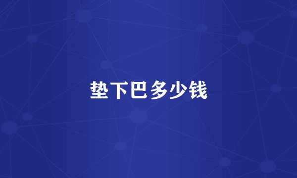垫下巴多少钱