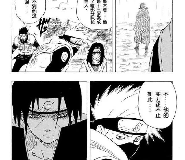 鼬的实力是什么水平