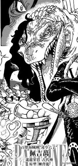 《海贼王》978话情报更新，凌空六子现身，据说还有两位大美女，是真的吗？