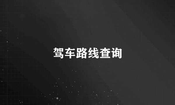 驾车路线查询
