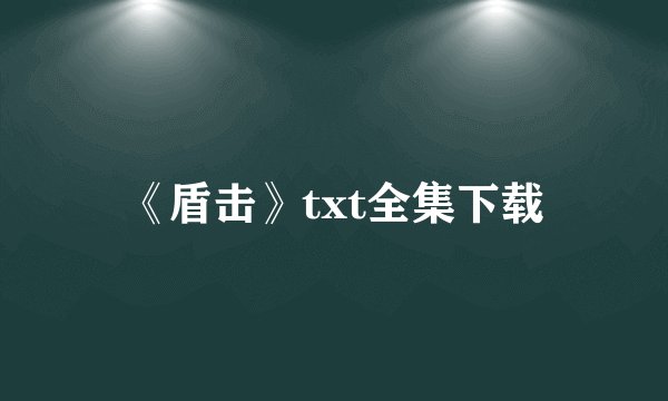 《盾击》txt全集下载