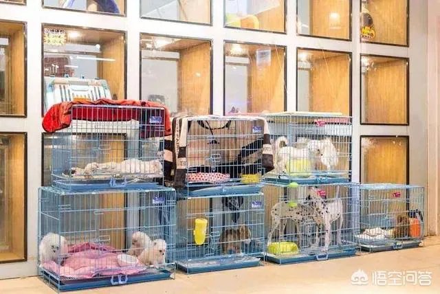 有哪些适合90后女孩创业的项目？