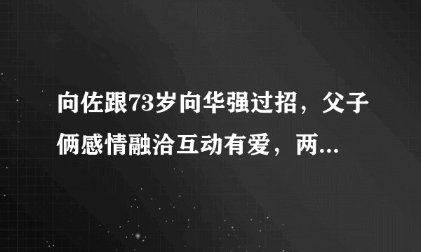 向佐跟73岁向华强过招，父子俩感情融洽互动有爱，两人的姿势是否专业？