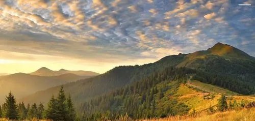 怎样提高幽默感