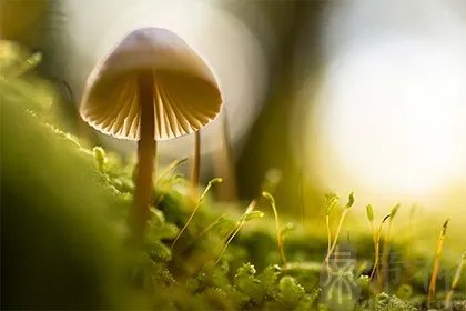 2021年初伏在哪一天？三伏天过后还要热多久？