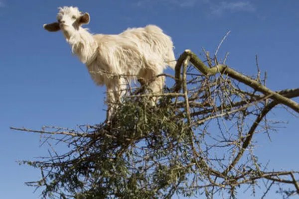 教育部约谈浙江省教育考试院是何情况？