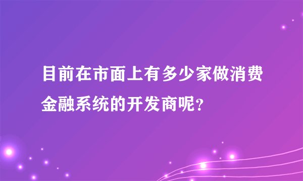 目前在市面上有多少家做消费金融系统的开发商呢？