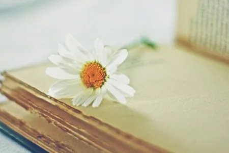 改个有意义的微信号id