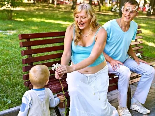 玫瑰花茶的多种泡法