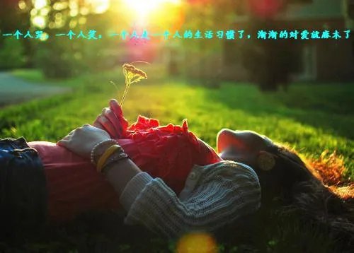 完整版白璃许凉城秦沫沫小说 许凉城我才是你的妻子整本阅读