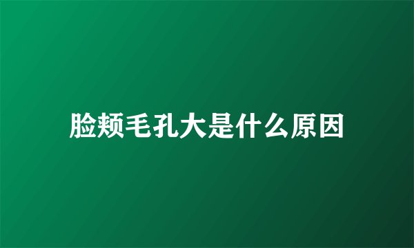 脸颊毛孔大是什么原因
