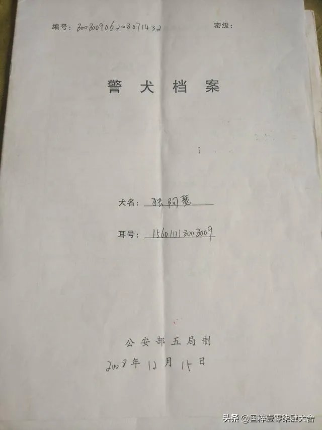 警犬跑入一个派出所,派出所的警察能认出吗?