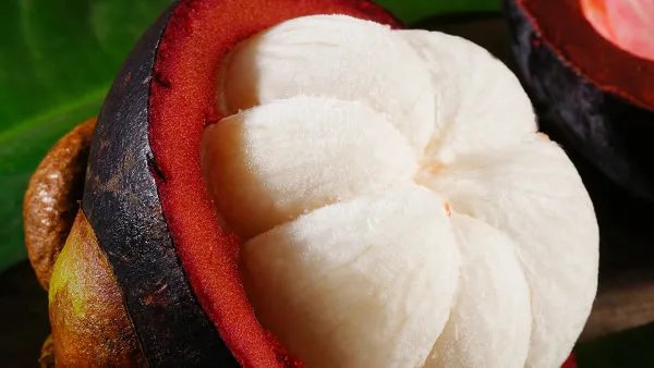 孕妇能吃山竹吗