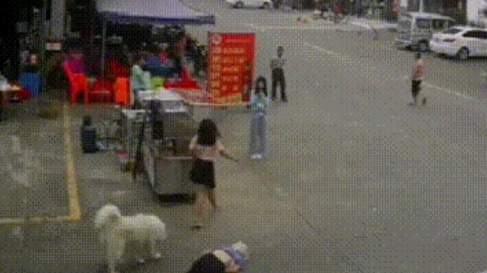 女孩回应遛狗绊死老人后逃离,她都说了什么?