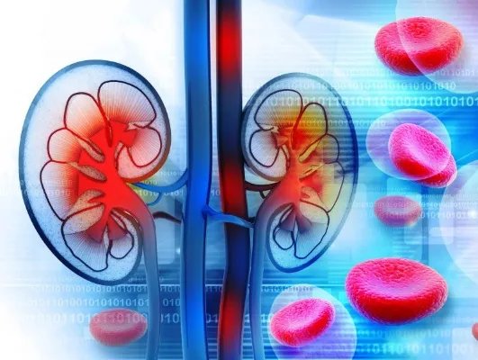 做肾部保养有什么好处