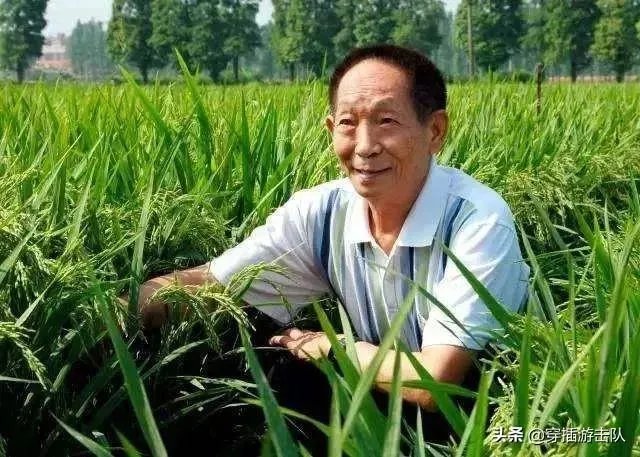 袁隆平真的逝世了吗？