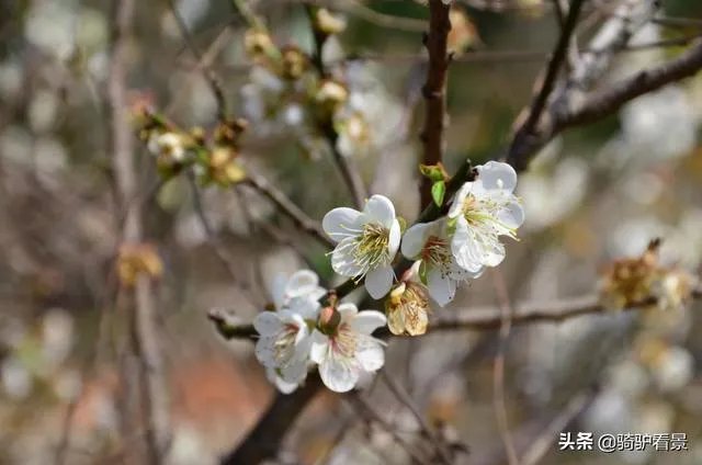 五一机票价格比去年跌三成,疫情当下我们还能出去旅游吗?