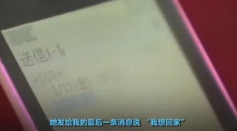 日本老人海底寻妻10年,他为何要这么做?