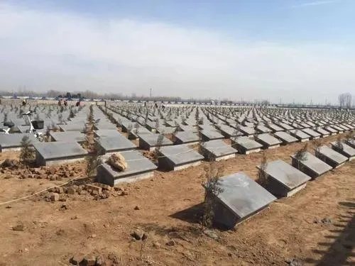 建议全面取消经营性公墓，这样做有什么好处？