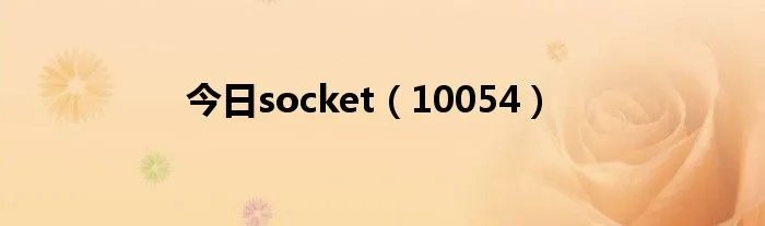 今日socket（10054）