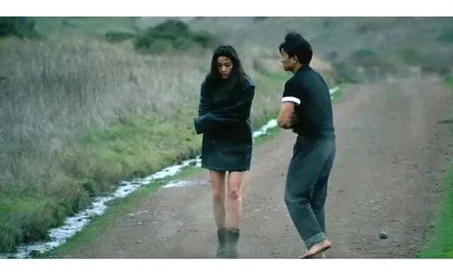 刘德华和吴倩莲合作过多少部电影?