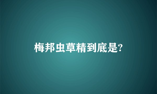 梅邦虫草精到底是?