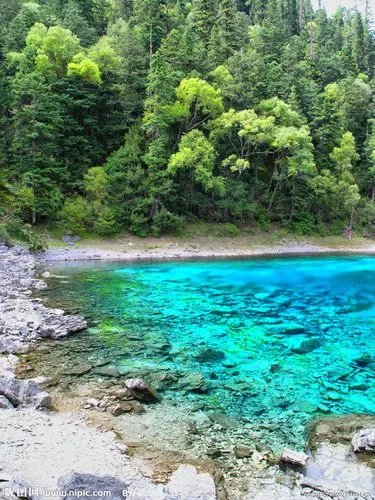 上海到九寨沟旅游